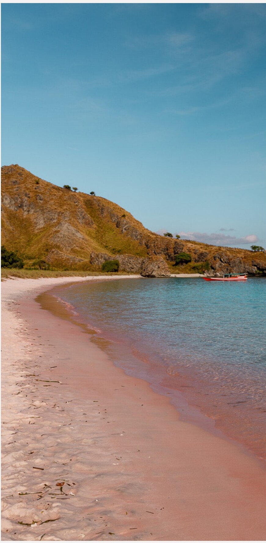 Pink Beach — Rinca — Kalong - 1