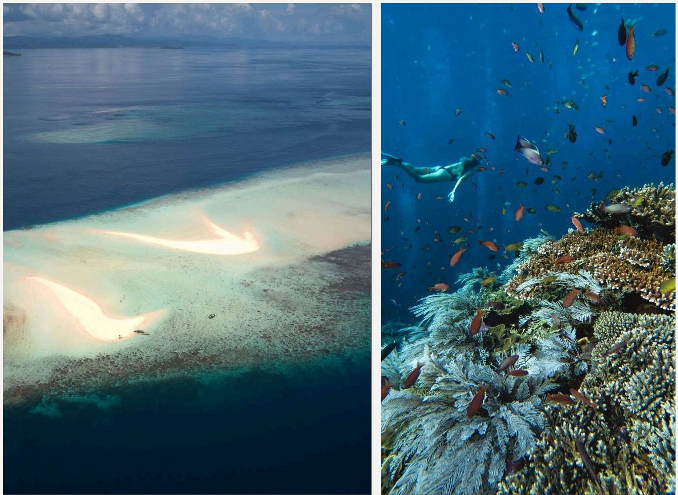 Aliikai Voyage — 7-Day North & Central Raja Ampat