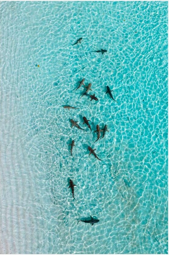 Wofoh Islands - 2