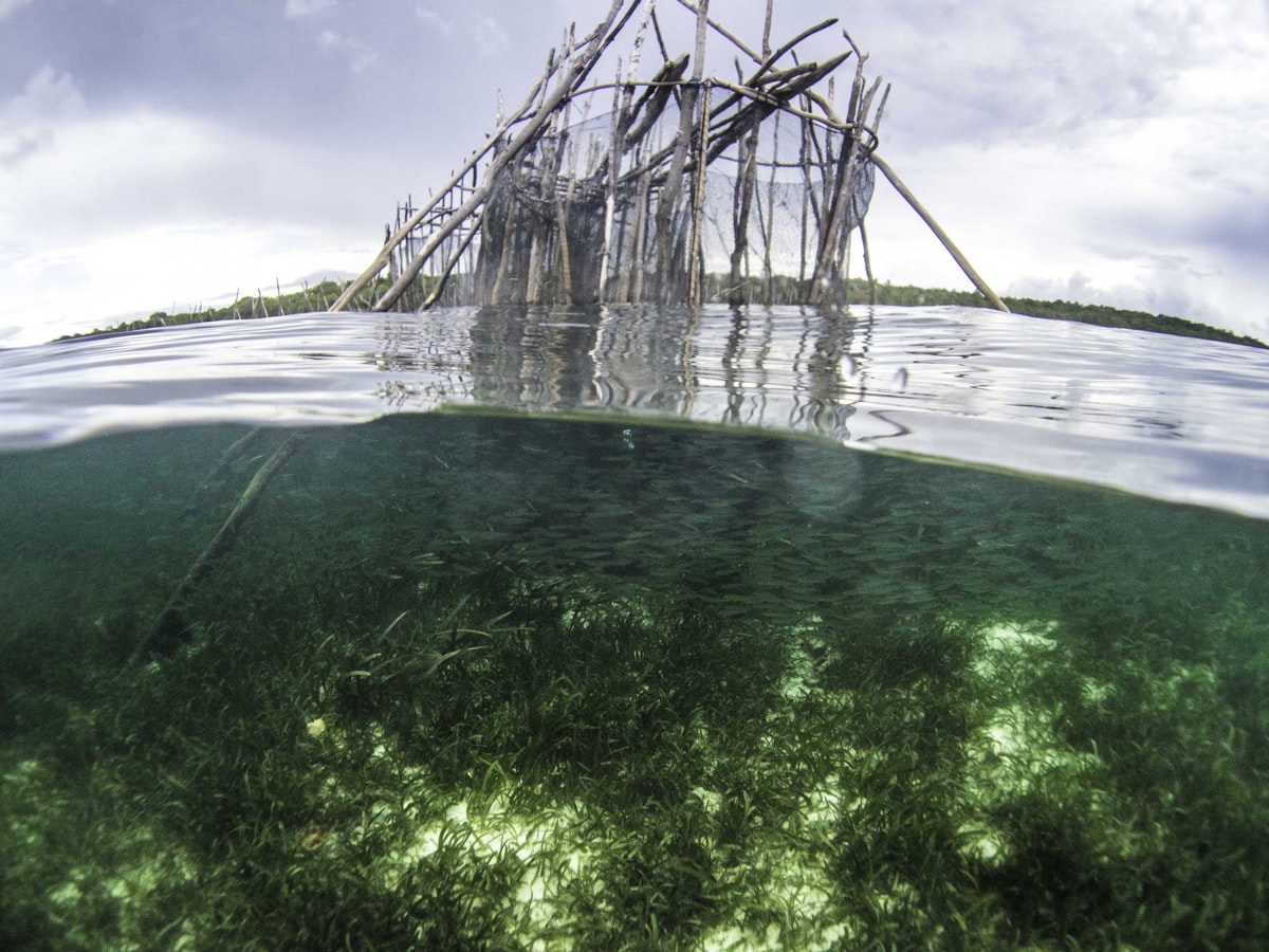 Wakatobi yacht charter destination Indonesia